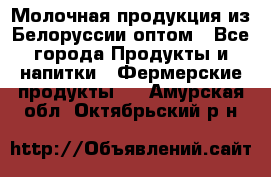 Молочная продукция из Белоруссии оптом - Все города Продукты и напитки » Фермерские продукты   . Амурская обл.,Октябрьский р-н